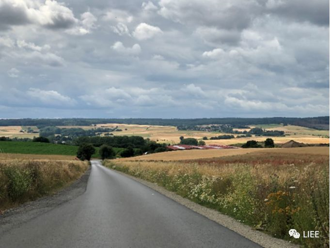 image-20201210135159404