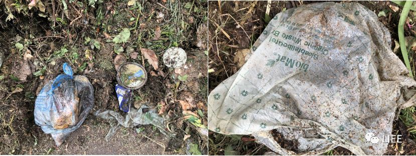 image-20201210135611868