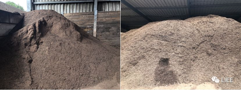 image-20201210135912756