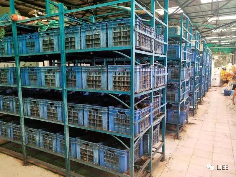 image-20201210141605024