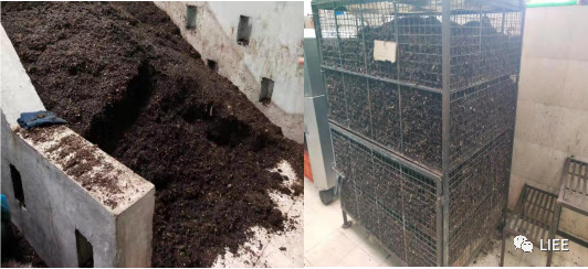 image-20201210141618950