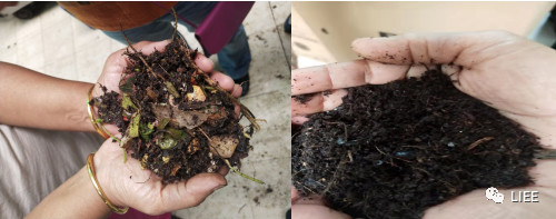 image-20201210141632546