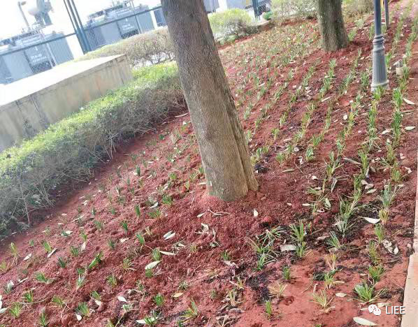 image-20201210141819651