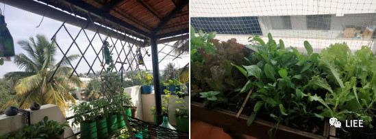 image-20201210141959672