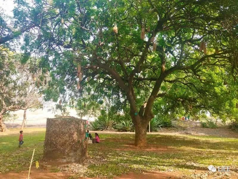 image-20201210142133102