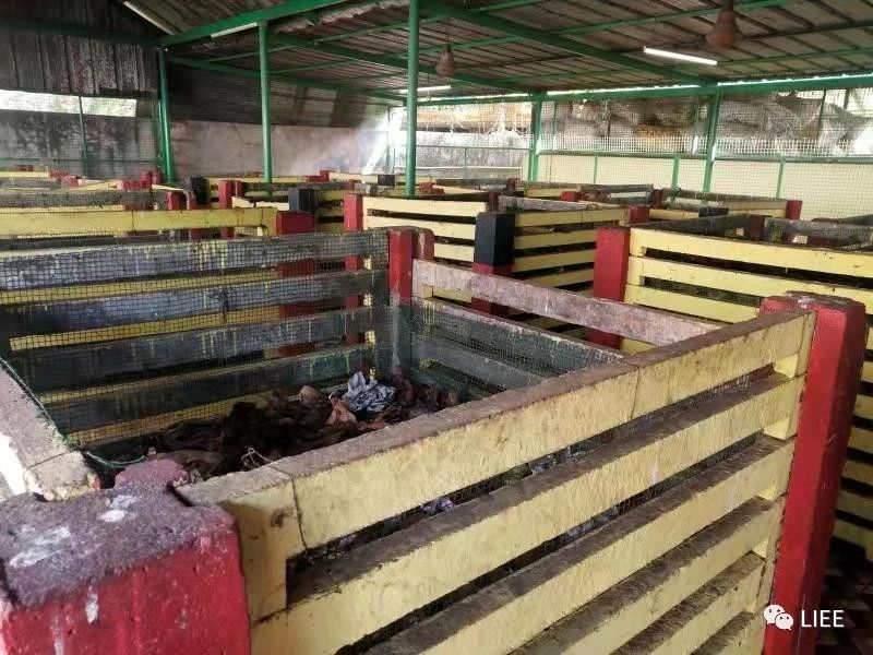 image-20201210142524403