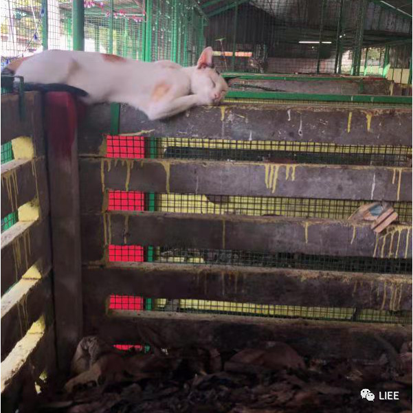 image-20201210142617185